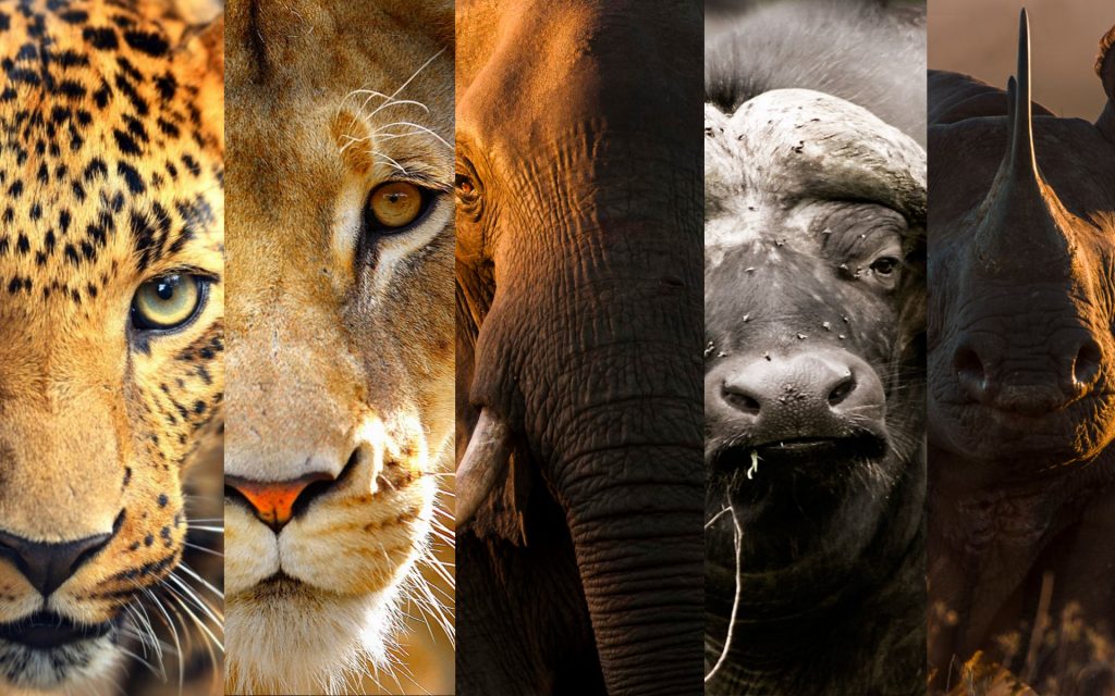 Big Five