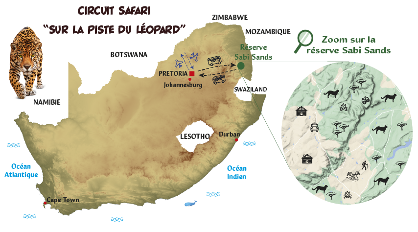 Circuit safari