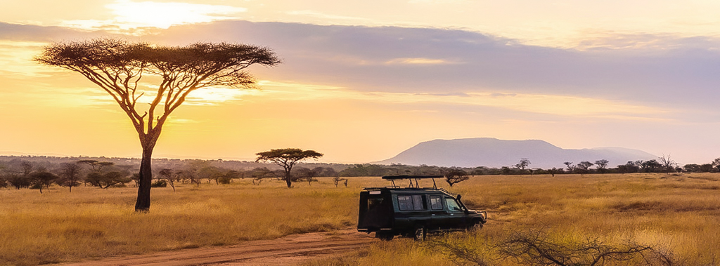 Paysage Safari Afrique du Sud