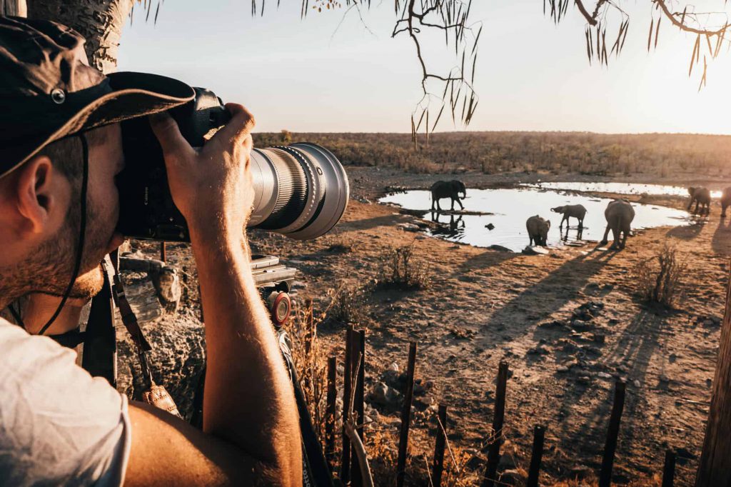 Photographe safari
